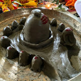 Maha Shivratri - Rudrabhishek Puja